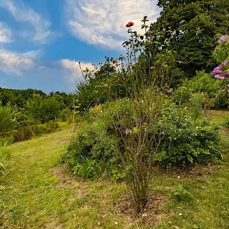 Des Bois Du Charme Chalais (Charente)