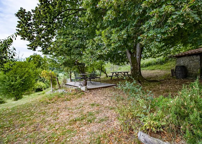 Des Bois Du Charme *