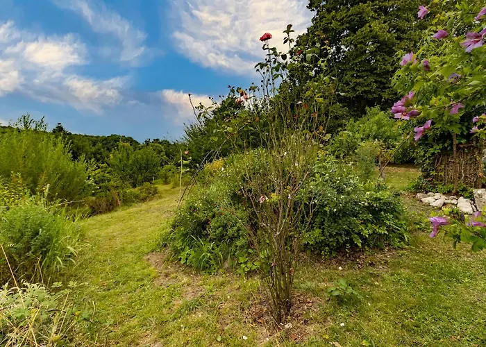 Des Bois Du Charme Chalais (Charente)